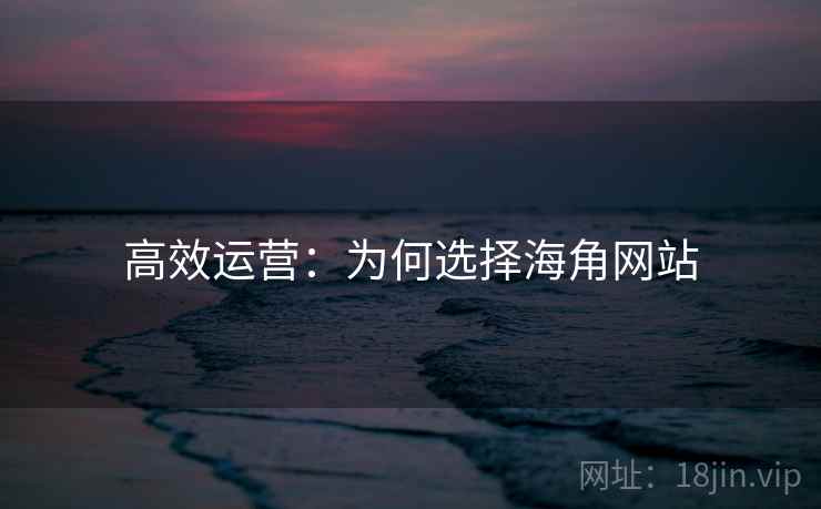 高效运营:为何选择海角网站