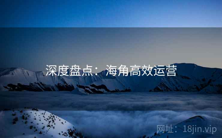 深度盘点:海角高效运营