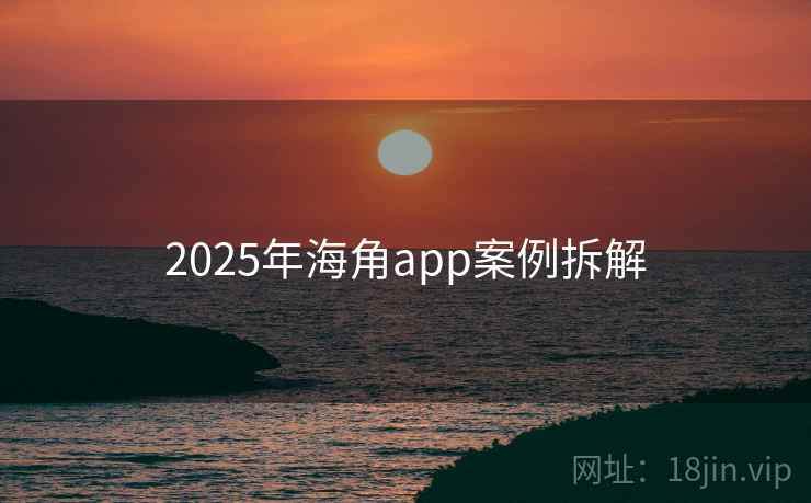 2025年海角app案例拆解